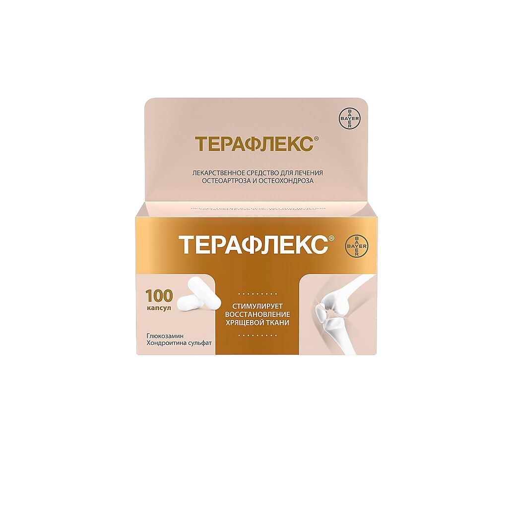 ТЕРАФЛЕКС КАПС 500МГ+400МГ №100